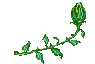 fleur.gif (3071 octets)
