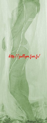 avec un voile comme ceci, a fait sexy non ?